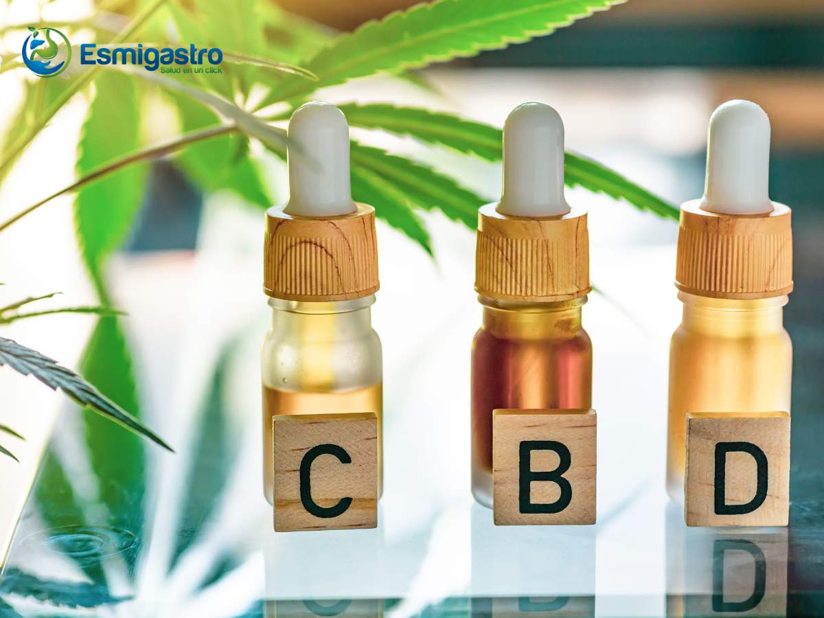 Consumo de cbd en pacientes con alteraciones hepáticas