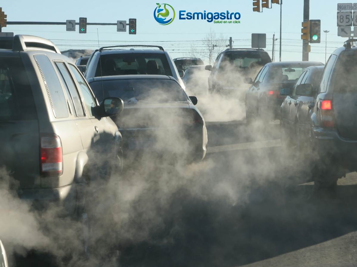 La contaminación acelera el número de muertes prematuras